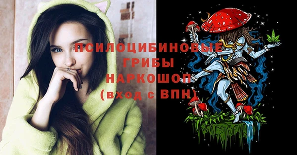 спайс Михайлов