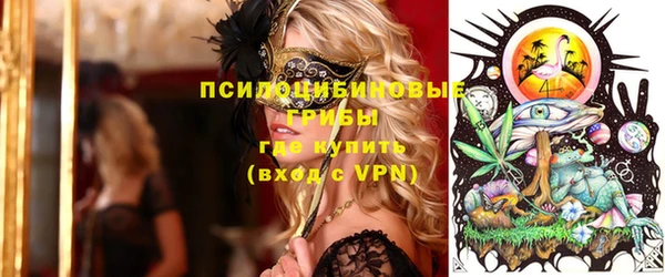 спайс Михайлов