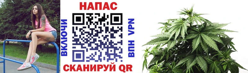 KRAKEN как войти  Устюжна  Бошки Шишки индика 